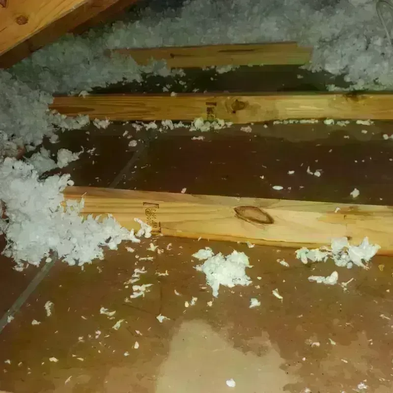 Attic Water Damage in Cushing, OK