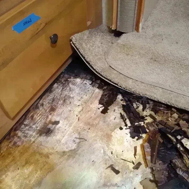 Wood Floor Water Damage in Cushing, OK